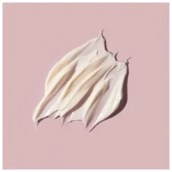 Absolution La Crème Riche - 50 ml