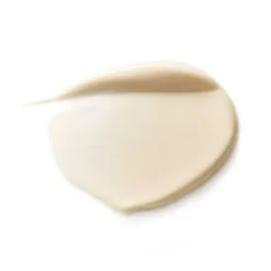 Dr. Hauschka Crème de jour Régénérante - 40 ml