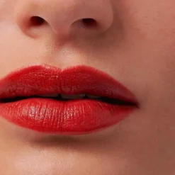 Dr. Hauschka Rouge à Lèvres - 4,1 g