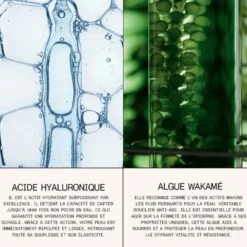 Eclo Sérum à lèvres régénérant - 10 ml