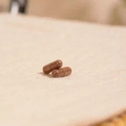 Epycure Gélules Cure Ventre Plat