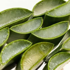 Ere Perez Mascara en gel cils & sourcils à l'aloe vera - 10ml