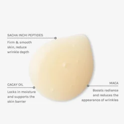 Evolve Beauty Sérum Peptides 360 - 30 ml