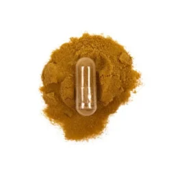 Kiki Health Extrait de Lion's Mane - 60 Vegicaps