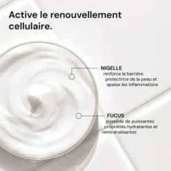 Laboté Crème Émulsion Régénérante – 50 ml