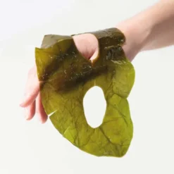 Whamisa Masque hydratant aux algues Kelp